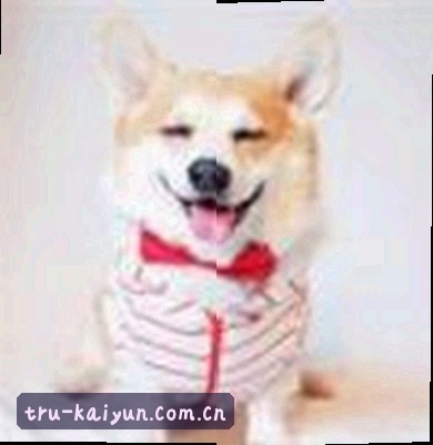周敏